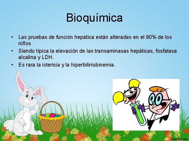 Bioquímica • Las pruebas de función hepática están alteradas en el 90% de los
