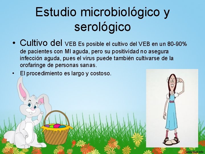 Estudio microbiológico y serológico • Cultivo del VEB Es posible el cultivo del VEB