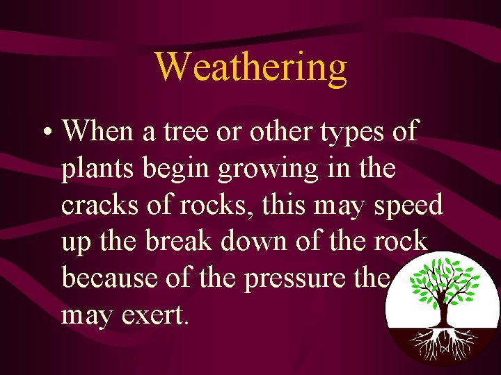 Weathering • When a tree or other types of plants begin growing in the