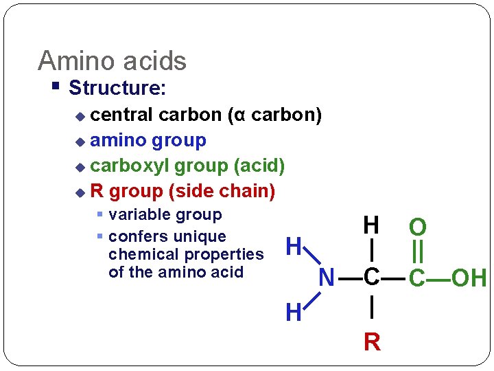 Amino acids Structure: central carbon (α carbon) amino group carboxyl group (acid) R group