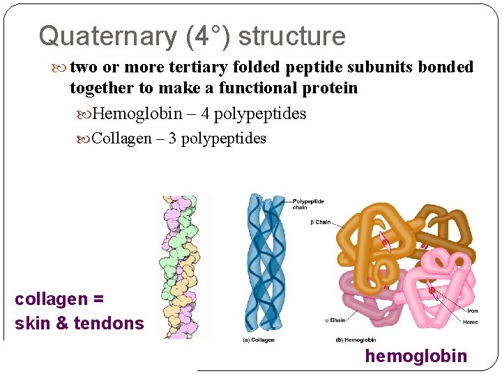 Quaternary (4°) structure two or more tertiary folded peptide subunits bonded together to make