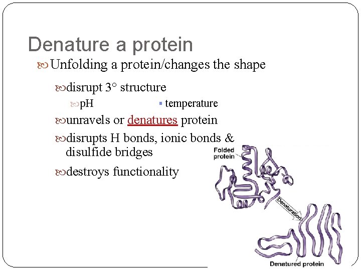 Denature a protein Unfolding a protein/changes the shape disrupt 3° structure temperature p. H