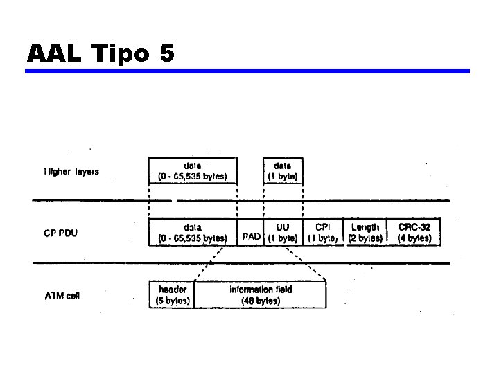 AAL Tipo 5 AAL Tipo 5