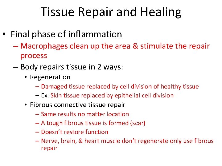 Tissue Repair and Healing • Final phase of inflammation – Macrophages clean up the