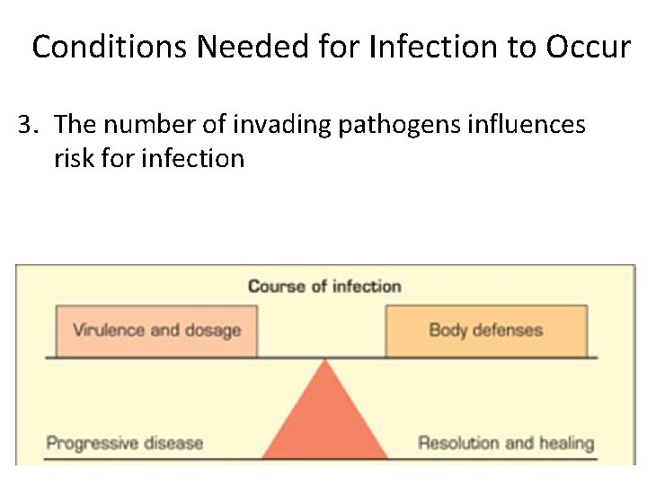 Conditions Needed for Infection to Occur 3. The number of invading pathogens influences risk