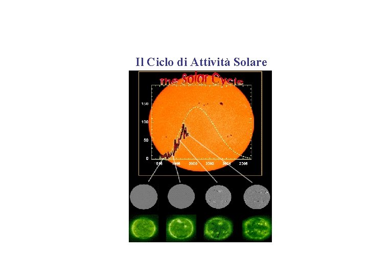 Il Ciclo di Attività Solare 