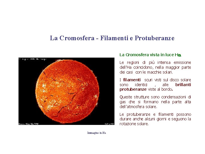 La Cromosfera - Filamenti e Protuberanze La Cromosfera vista in luce Ha Le regioni