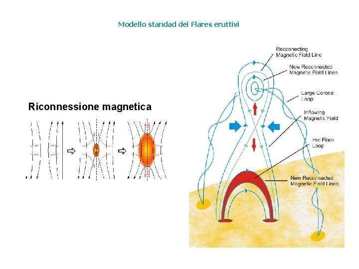 Modello standad dei Flares eruttivi Riconnessione magnetica 