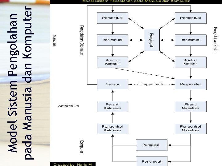 Model Sistem Pengolahan pada Manusia dan Komputer 
