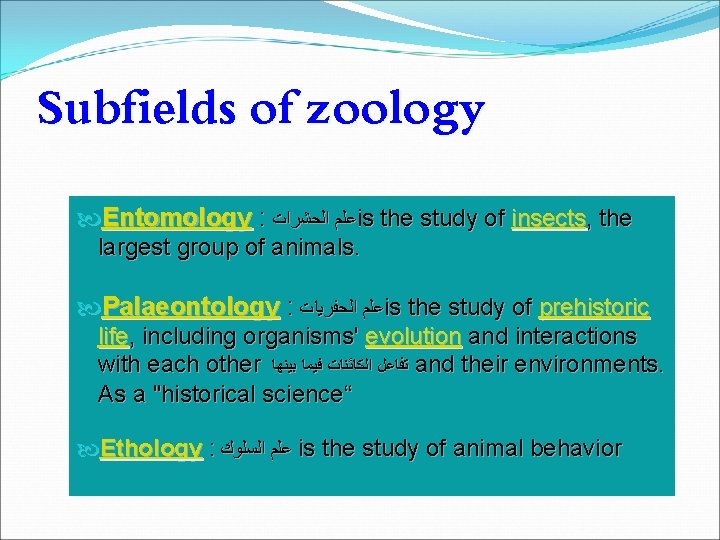 Subfields of zoology Entomology : ﻋﻠﻢ ﺍﻟﺤﺸﺮﺍﺕ is the study of insects, the largest