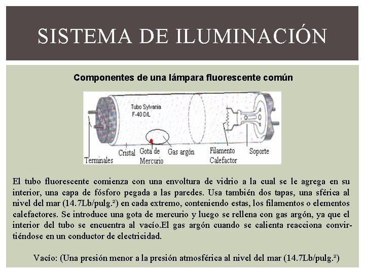 SISTEMA DE ILUMINACIÓN Componentes de una lámpara fluorescente común El tubo fluorescente comienza con