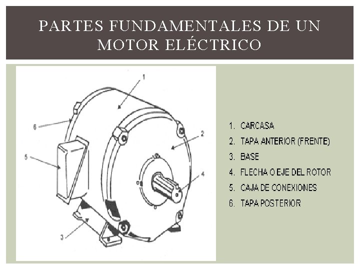 PARTES FUNDAMENTALES DE UN MOTOR ELÉCTRICO 