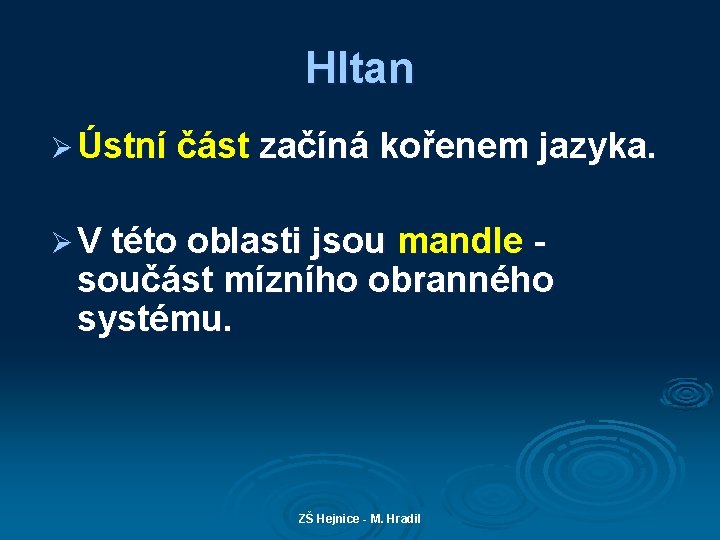 Hltan Ø Ústní část začíná kořenem jazyka. Ø V této oblasti jsou mandle součást