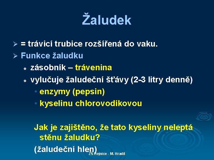 Žaludek = trávicí trubice rozšířená do vaku. Ø Funkce žaludku l zásobník – trávenina