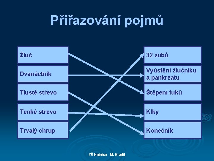 Přiřazování pojmů Žluč 32 zubů Dvanáctník Vyústění žlučníku a pankreatu Tlusté střevo Štěpení tuků