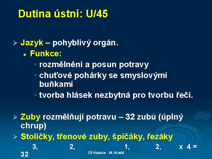 Dutina ústní: U/45 Ø Jazyk – pohyblivý orgán. l Funkce: • rozmělnění a posun