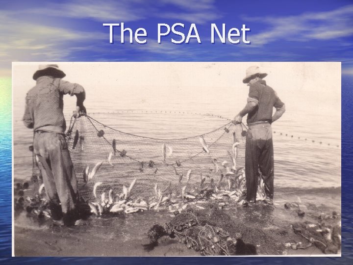 The PSA Net 