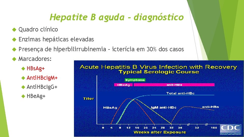 Hepatite B aguda - diagnóstico Quadro clínico Enzimas hepáticas elevadas Presença de hiperbilirrubinemia –