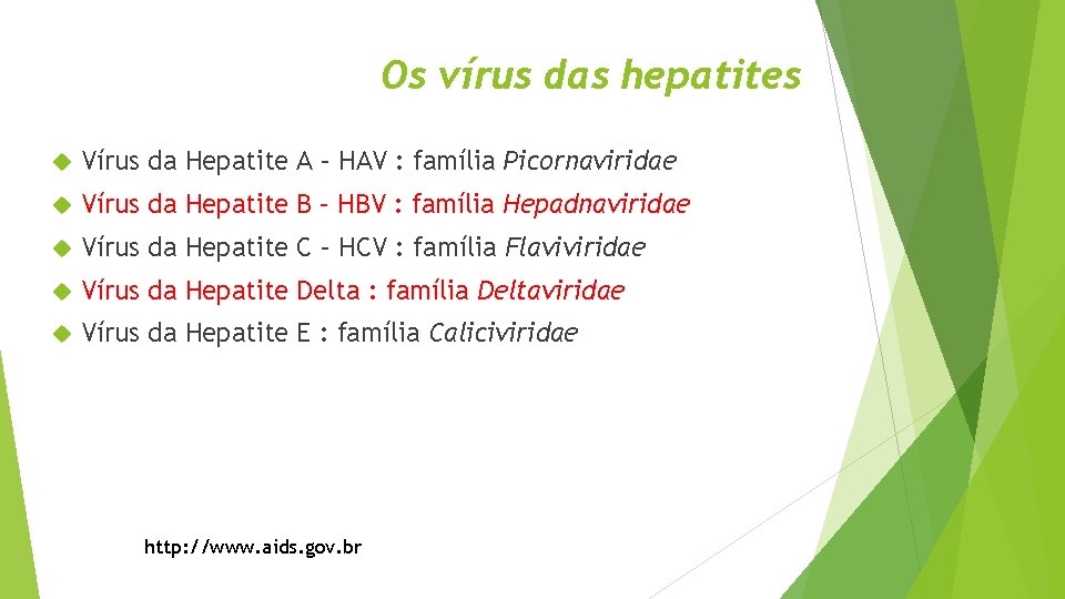 Os vírus das hepatites Vírus da Hepatite A – HAV : família Picornaviridae Vírus
