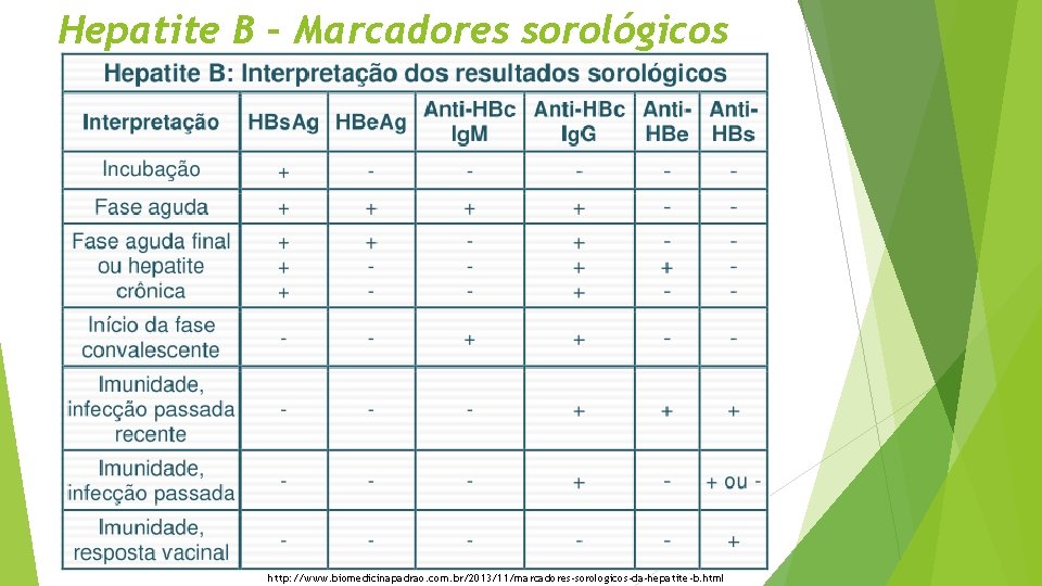 Hepatite B – Marcadores sorológicos http: //www. biomedicinapadrao. com. br/2013/11/marcadores-sorologicos-da-hepatite-b. html 