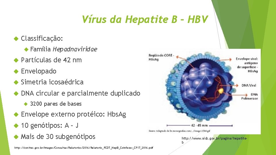 Vírus da Hepatite B – HBV Classificação: Família Hepadnaviridae Partículas de 42 nm Envelopado