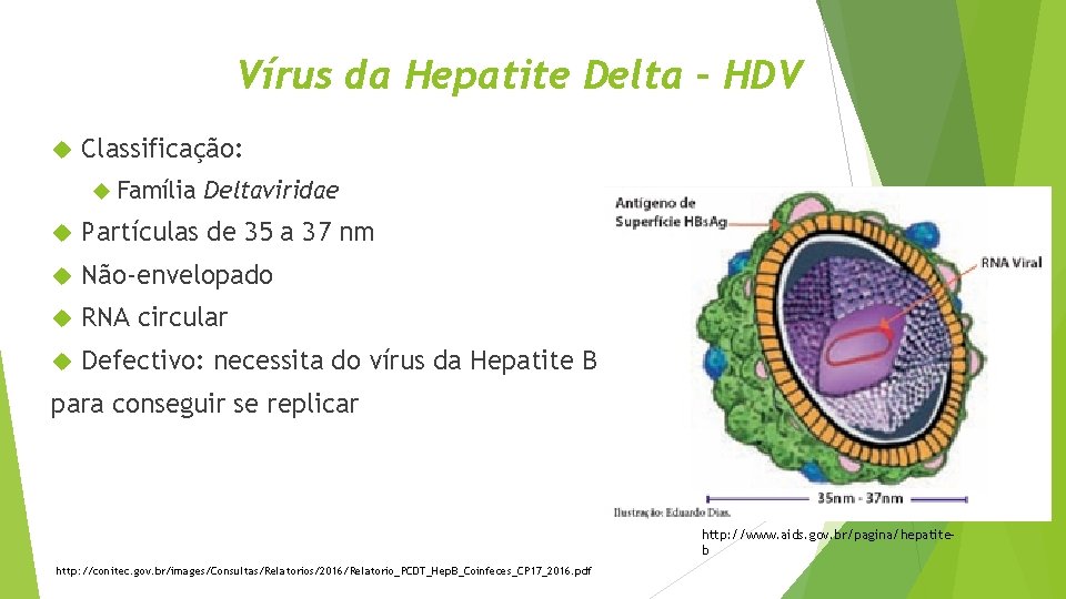 Vírus da Hepatite Delta – HDV Classificação: Família Deltaviridae Partículas de 35 a 37