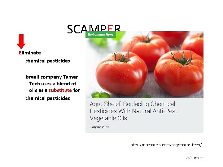 SCAMPER Eliminate chemical pesticides Israeli company Tamar Tech uses a blend of oils as