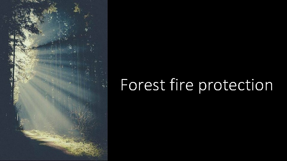 Forest fire protection 