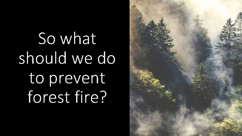 So what should we do to prevent forest fire? 