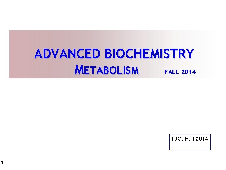 ADVANCED BIOCHEMISTRY METABOLISM FALL 2014 IUG, Fall 2014 1 
