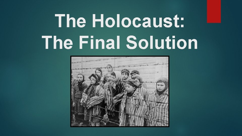 The Holocaust: The Final Solution 