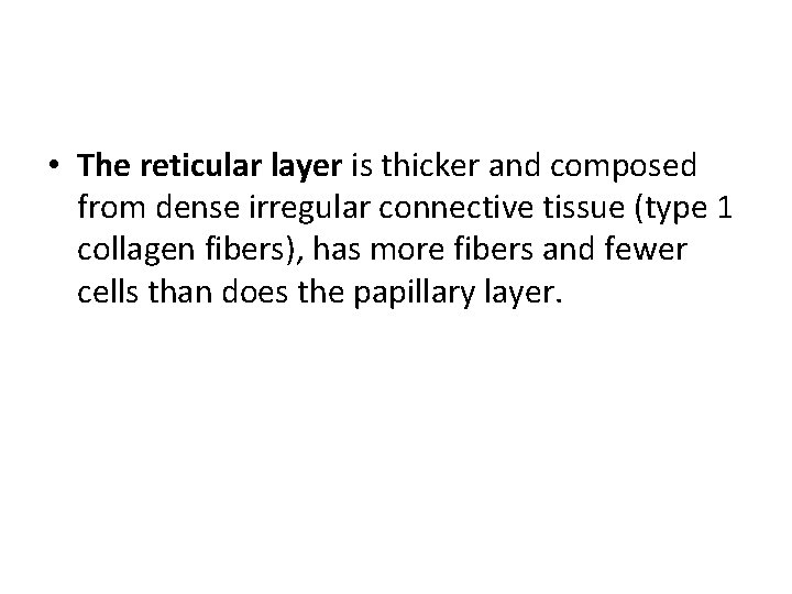 • The reticular layer is thicker and composed from dense irregular connective tissue