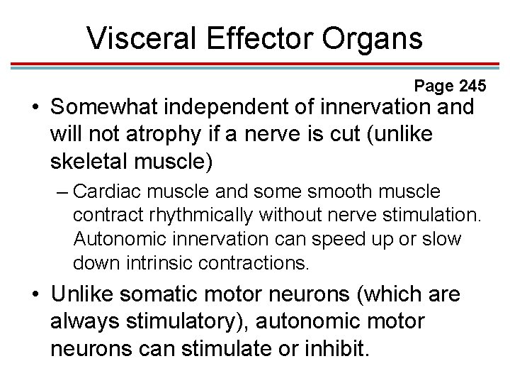 Visceral Effector Organs Page 245 • Somewhat independent of innervation and will not atrophy