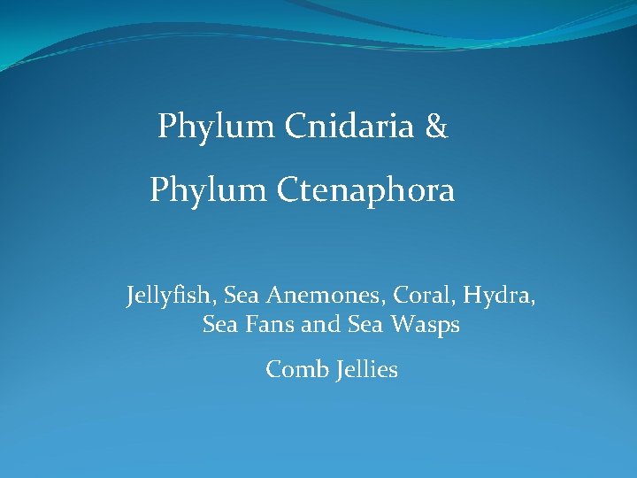 Phylum Cnidaria & Phylum Ctenaphora Jellyfish, Sea Anemones, Coral, Hydra, Sea Fans and Sea