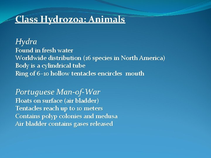 Class Hydrozoa: Animals Hydra Found in fresh water Worldwide distribution (16 species in North