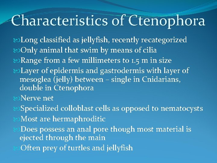 Characteristics of Ctenophora Long classified as jellyfish, recently recategorized Only animal that swim by