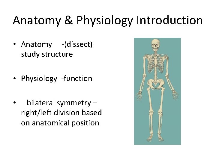 Anatomy & Physiology Introduction • Anatomy -(dissect) study structure • Physiology -function • bilateral