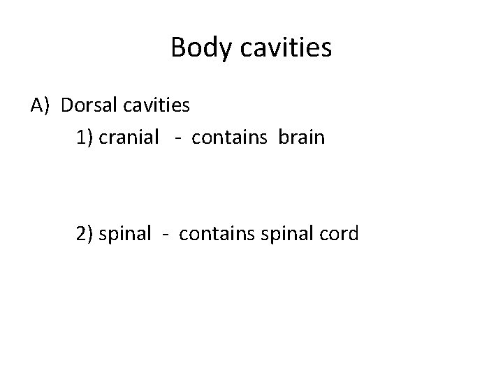 Body cavities A) Dorsal cavities 1) cranial - contains brain 2) spinal - contains