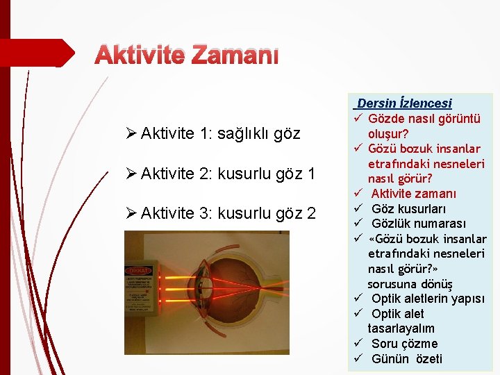 Aktivite Zamanı Ø Aktivite 1: sağlıklı göz Ø Aktivite 2: kusurlu göz 1 Ø