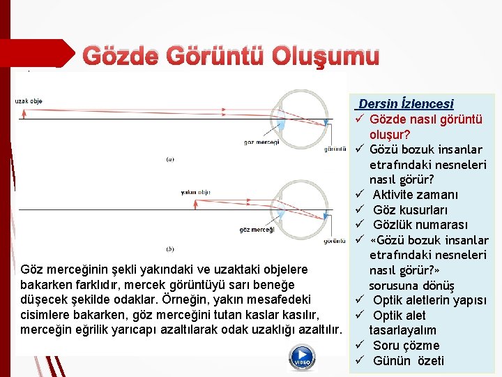 Gözde Görüntü Oluşumu Göz merceğinin şekli yakındaki ve uzaktaki objelere bakarken farklıdır, mercek görüntüyü