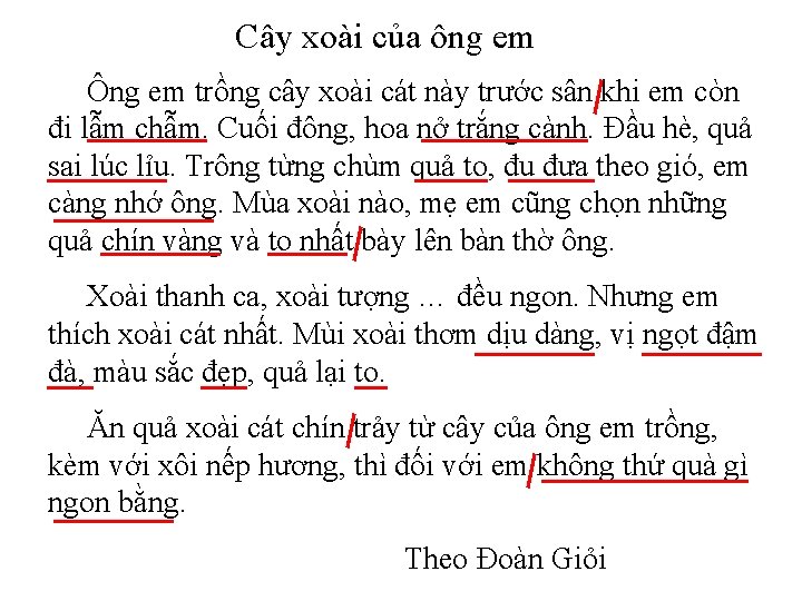 Cây xoài của ông em Ông em trồng cây xoài cát này trước sân