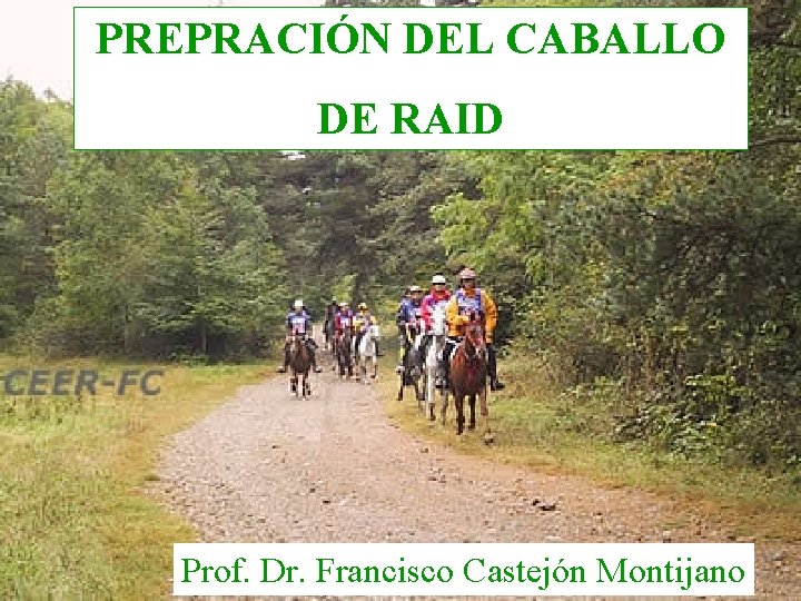 PREPRACIÓN DEL CABALLO DE RAID Prof. Dr. Francisco Castejón Montijano 