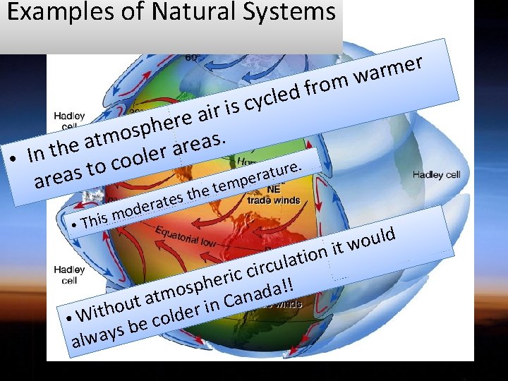 Examples of Natural Systems m o r f d e l c y c