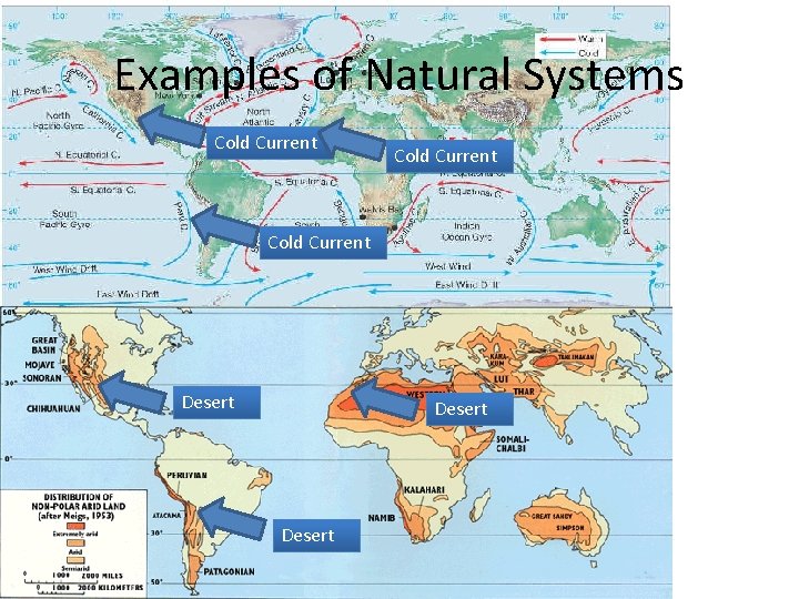 Examples of Natural Systems Cold Current Desert 