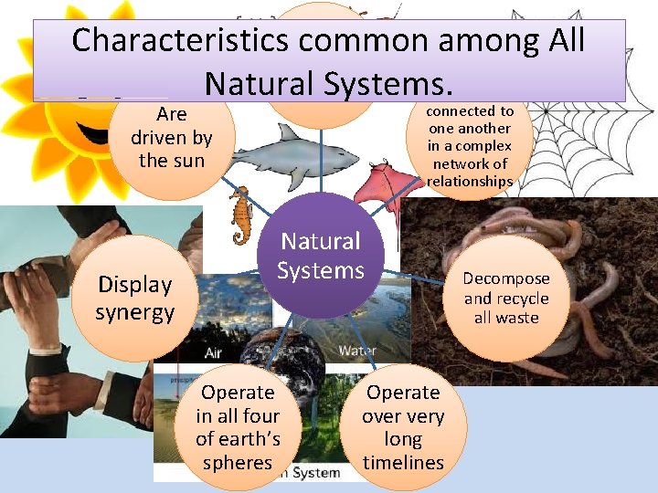 Characteristics. Support common among All all living things Natural Systems. Are driven by the