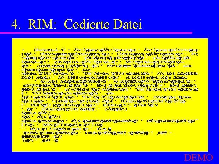4. RIM: Codierte Datei DEMO 