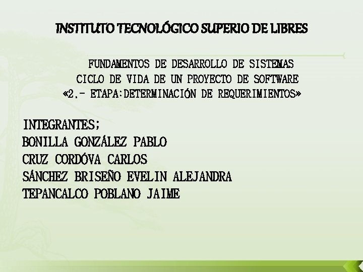 INSTITUTO TECNOLÓGICO SUPERIO DE LIBRES FUNDAMENTOS DE DESARROLLO DE SISTEMAS CICLO DE VIDA DE