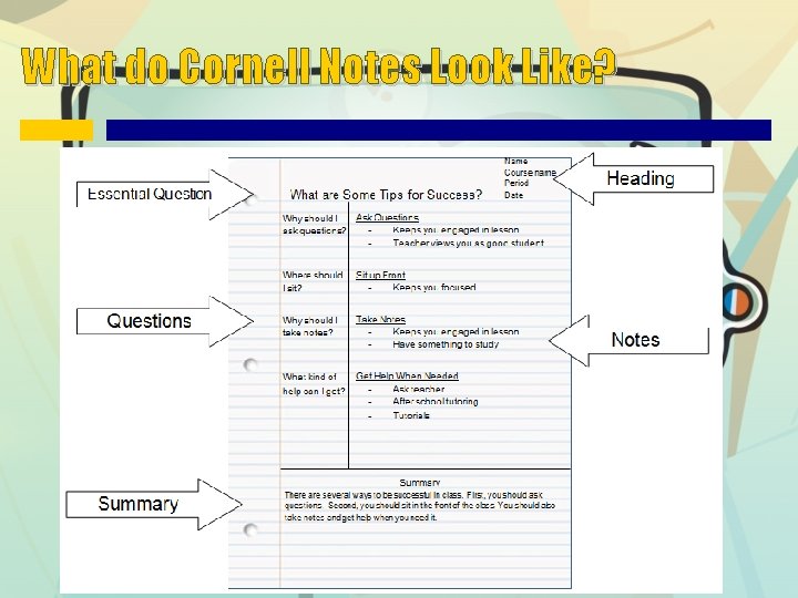 What do Cornell Notes Look Like? 