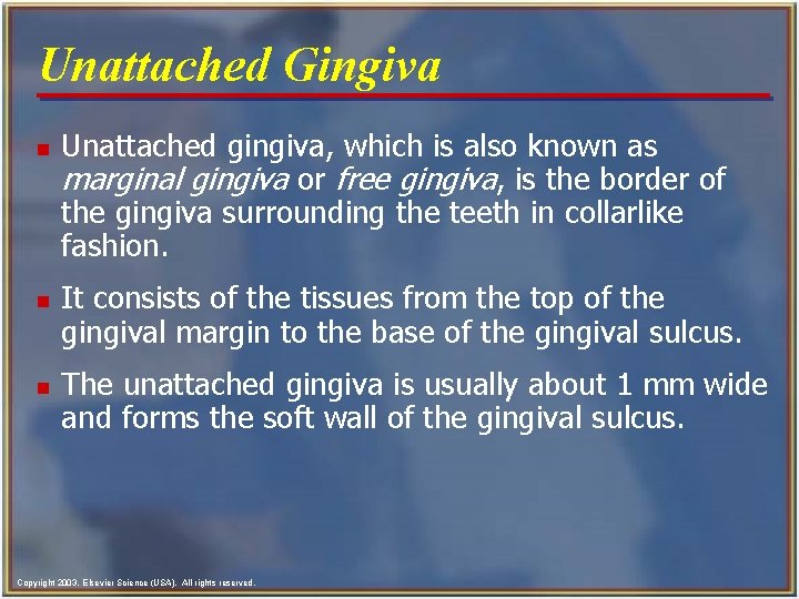 Unattached Gingiva n n n Unattached gingiva, which is also known as marginal gingiva Unattached Gingiva n n n Unattached gingiva, which is also known as marginal gingiva