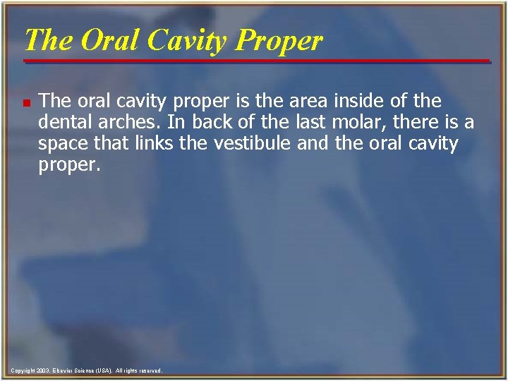 The Oral Cavity Proper n The oral cavity proper is the area inside of The Oral Cavity Proper n The oral cavity proper is the area inside of